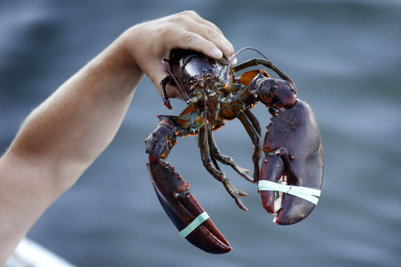 lobstah