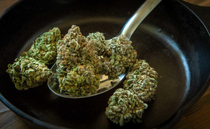 cannabis